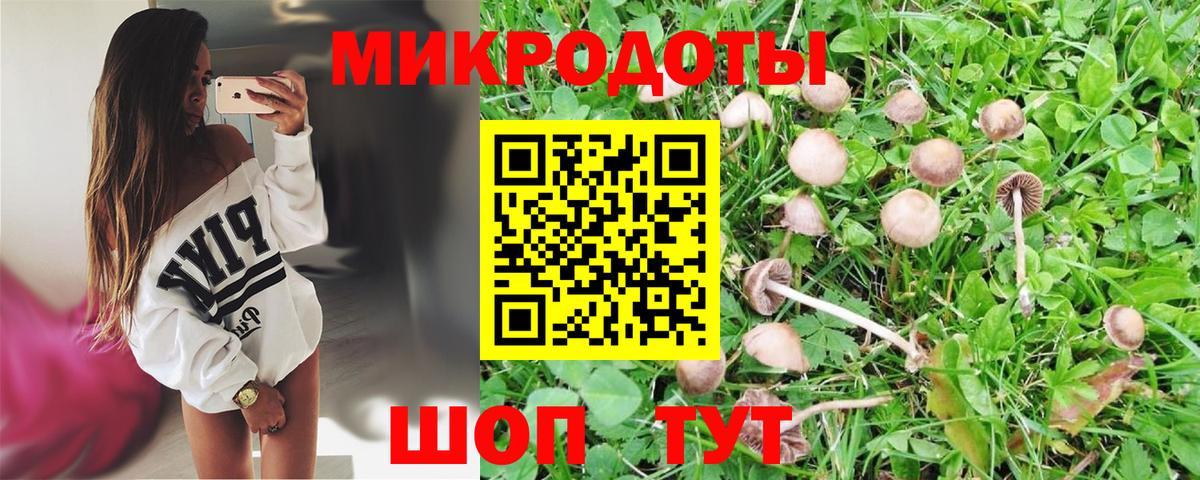 Строитель  цены   Вход с VPN  Галлюциногенные грибы Cubensis 