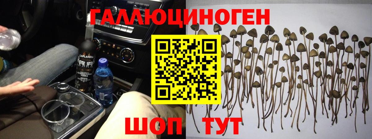 Псилоцибиновые грибы MAGIC MUSHROOMS Строитель
